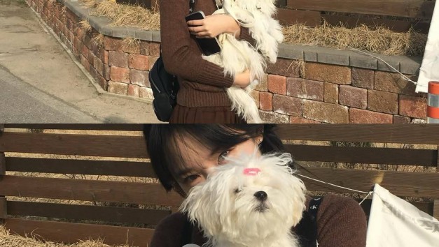 플렉스티비 | 배너